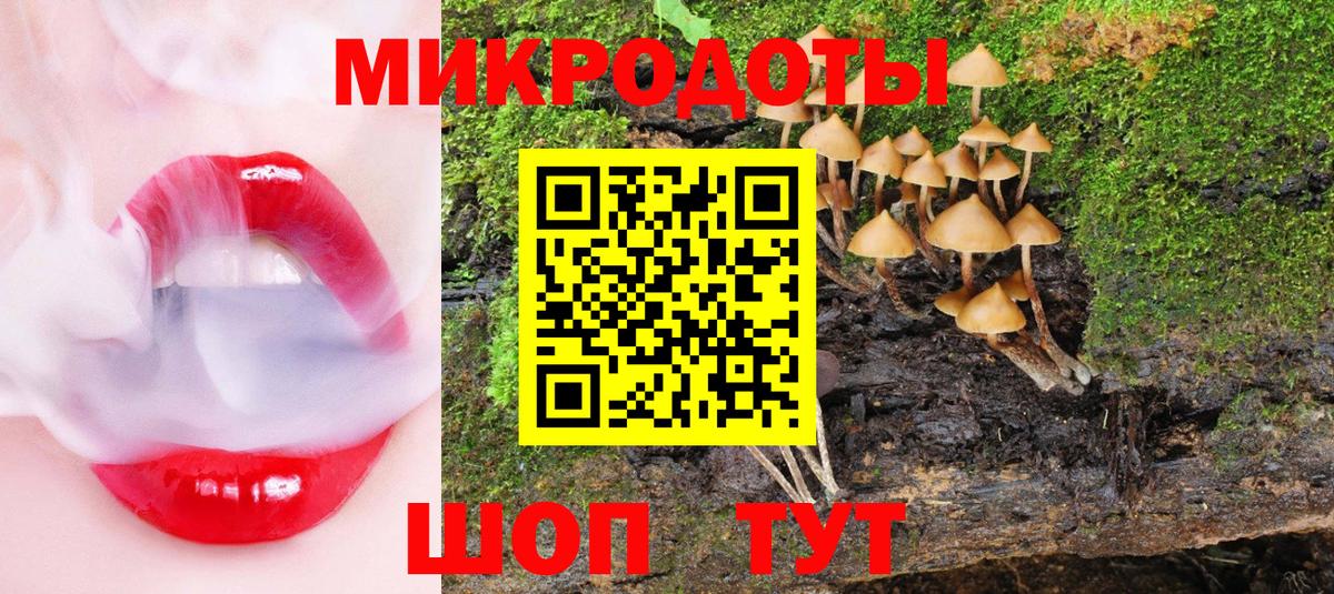 Псилоцибиновые грибы мухоморы Бийск