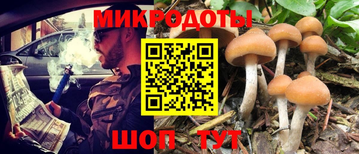 Псилоцибиновые грибы GOLDEN TEACHER  Вход с VPN  Псилоцибиновые грибы Psilocybe  даркнет сайт  Бийск 
